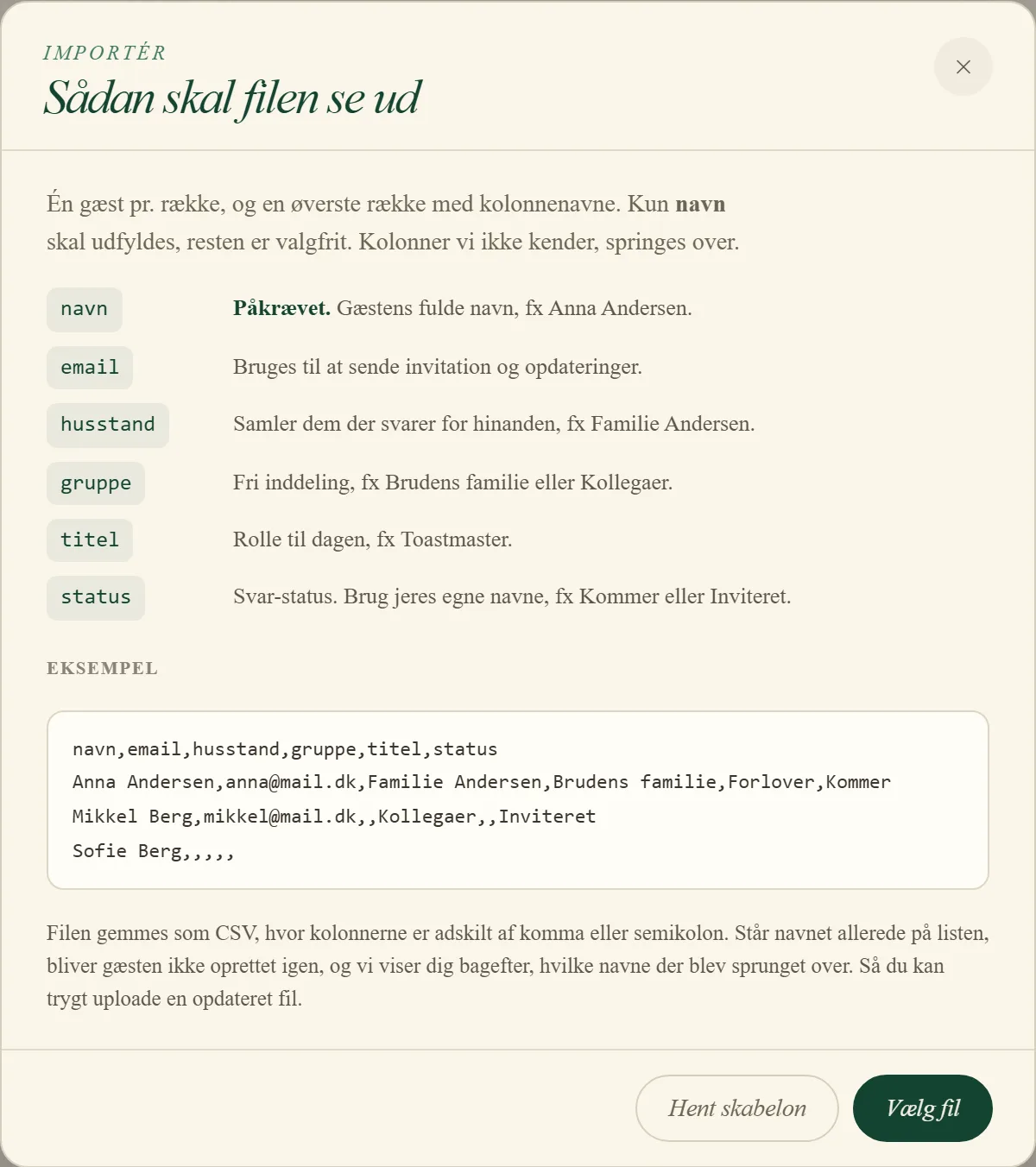 Vinduet Importér, der viser, hvordan filen skal se ud
